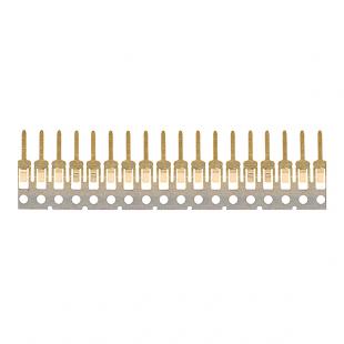 连续镀金产品8X5A8976