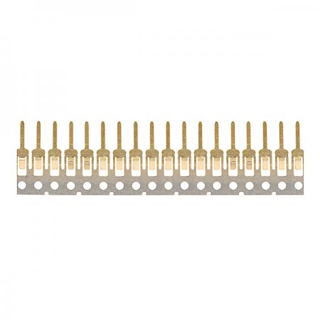 连续镀金产品8X5A8976图片