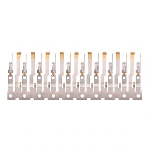 连续镀金产品8X5A9769
