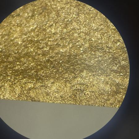 碳化硅镀镍金图片0